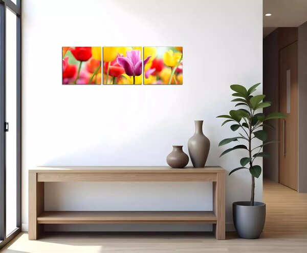 Obraz na plátne Farebné tulipány