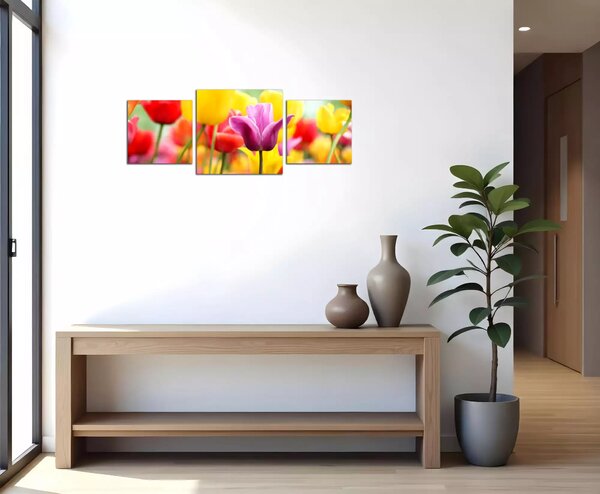 Obraz na plátne Farebné tulipány