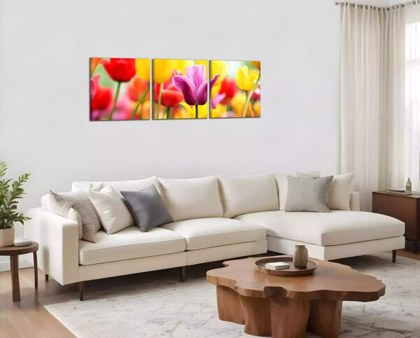 Obraz na plátne Farebné tulipány
