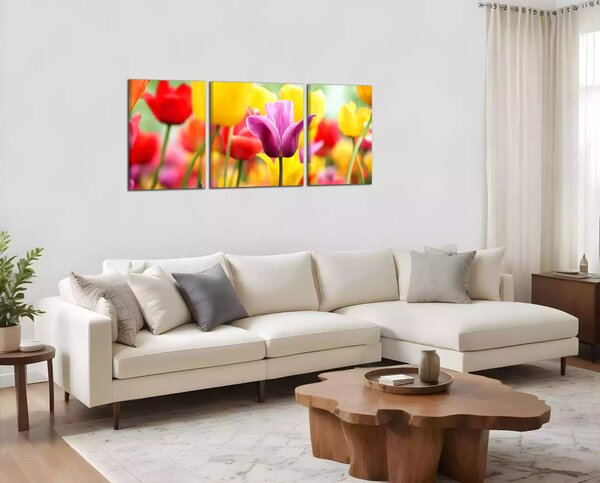Obraz na plátne Farebné tulipány
