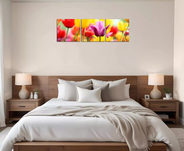 Obraz na plátne Farebné tulipány
