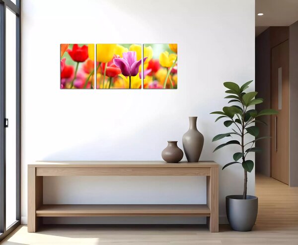 Obraz na plátne Farebné tulipány