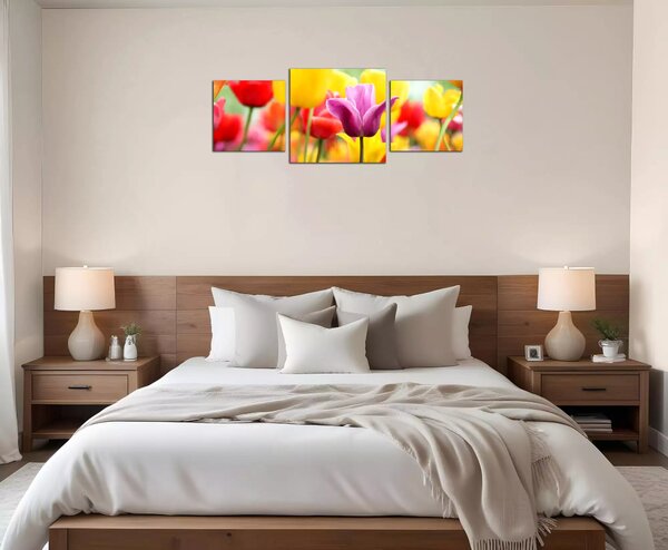 Obraz na plátne Farebné tulipány