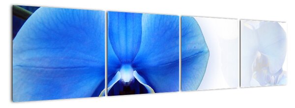 Obraz s orchideí (Obraz 160x40cm)