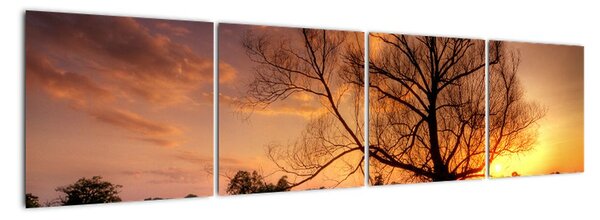 Západ slnka, obrazy (Obraz 160x40cm)