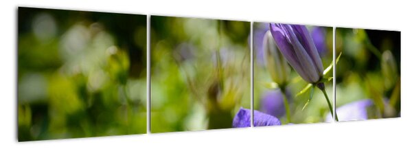 Modrá kvetina - obraz (Obraz 160x40cm)