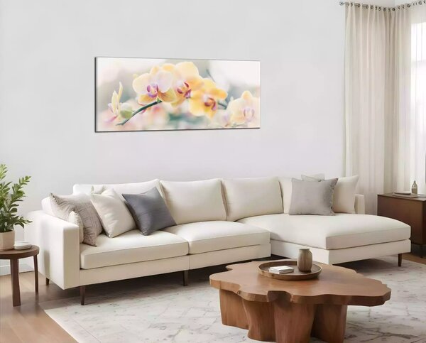 Moderný obraz Orchidey