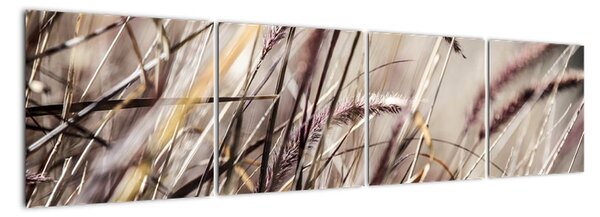 Obraz pšenica (Obraz 160x40cm)