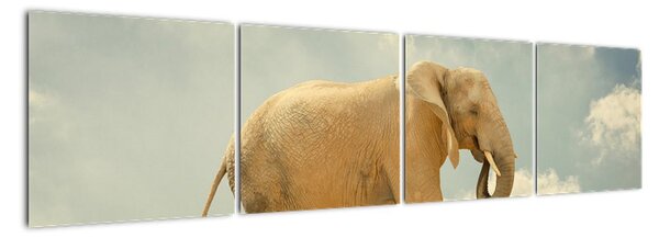 Slon na lane, obraz (Obraz 160x40cm)