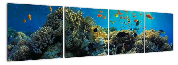 Obraz podmorského sveta (Obraz 160x40cm)