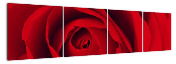 Detail červené ruže - obraz (Obraz 160x40cm)