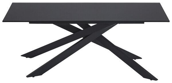 KONFERENČNÝ STOLÍK, čierna, kov, sklo, 115/65/42 cm Stylife - Stolíky do obývačky