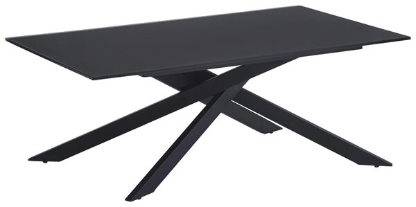 KONFERENČNÝ STOLÍK, čierna, kov, sklo, 115/65/42 cm Stylife - Stolíky do obývačky