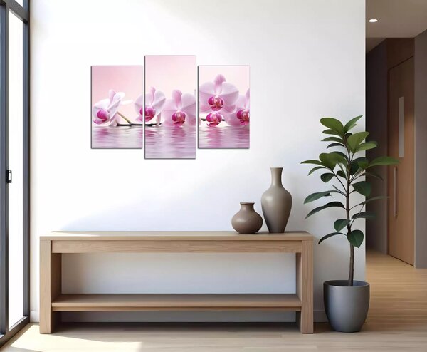 Obraz do bytu Ružové orchidey