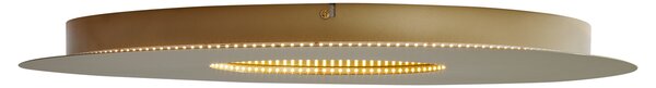 Moderné stropné svietidlo zlaté 60 cm vrátane LED s 3-stupňovým stmievaním - Morning