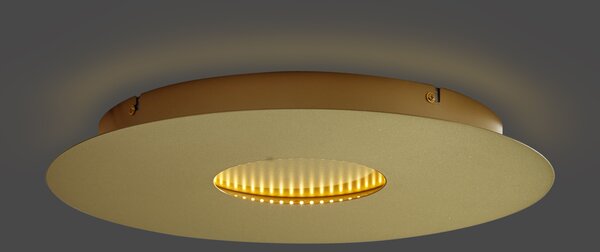 Moderné stropné svietidlo zlaté 40 cm vrátane LED s 3-stupňovým stmievaním - Morning
