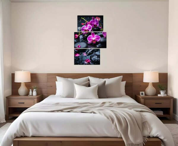 Moderný obraz Fialové orchidey na kameňoch