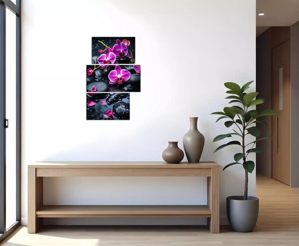 Moderný obraz Fialové orchidey na kameňoch