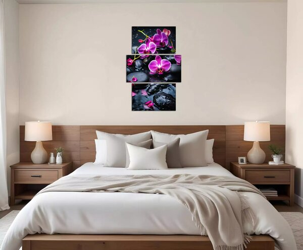 Moderný obraz Fialové orchidey na kameňoch