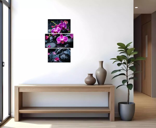 Moderný obraz Fialové orchidey na kameňoch