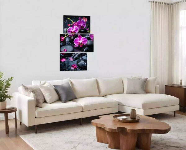 Moderný obraz Fialové orchidey na kameňoch