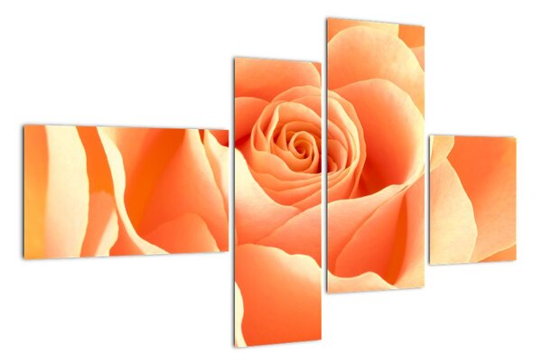 Obraz oranžové ruže (Obraz 110x70cm)