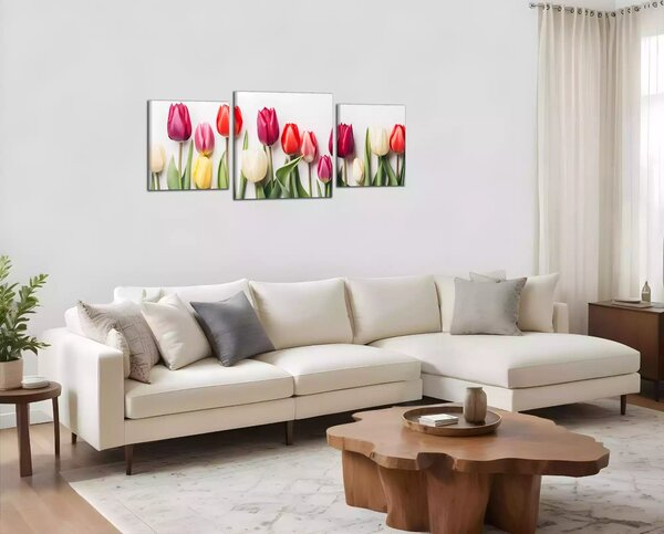 Obraz na plátne Rôznofarebné tulipány