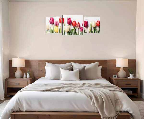 Obraz na plátne Rôznofarebné tulipány