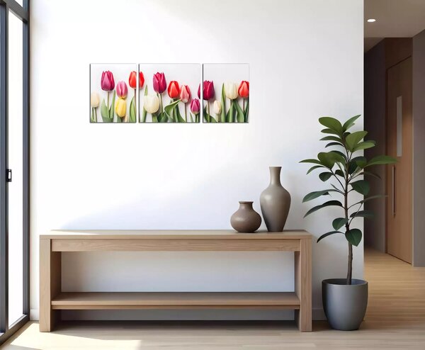 Obraz na plátne Rôznofarebné tulipány