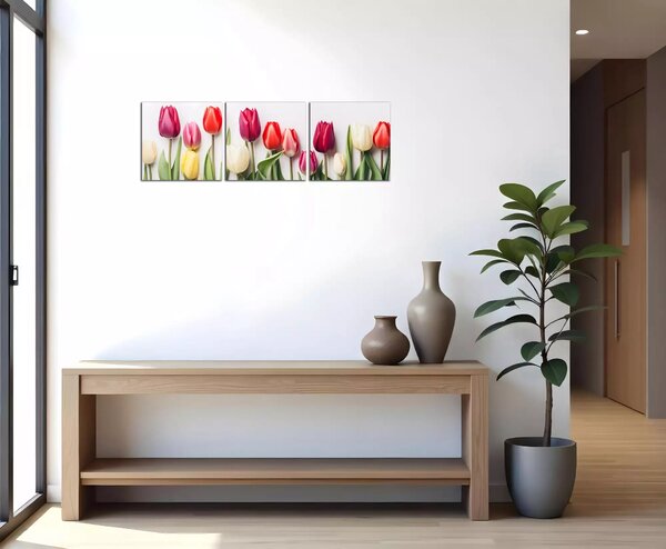 Obraz na plátne Rôznofarebné tulipány
