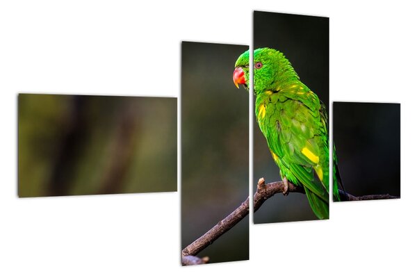Obraz zeleného papagája (Obraz 110x70cm)