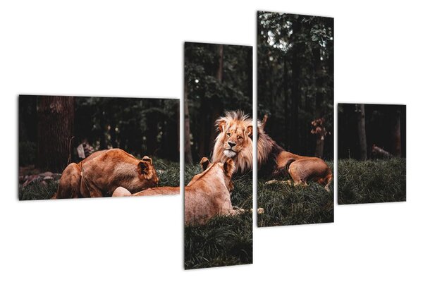 Obrazy - levy v lese (Obraz 110x70cm)