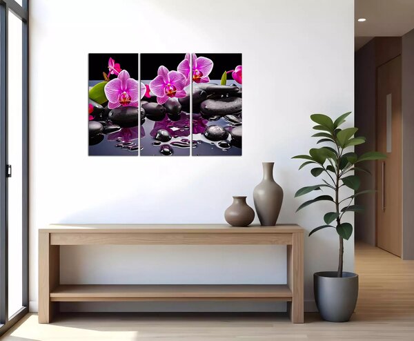 Moderný obraz Orchidey a čierne kamene