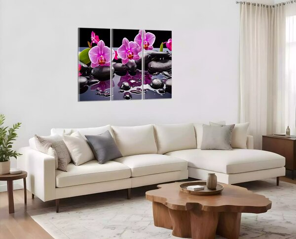 Moderný obraz Orchidey a čierne kamene