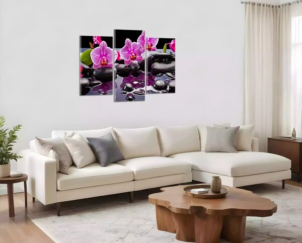 Moderný obraz Orchidey a čierne kamene