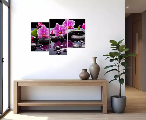 Moderný obraz Orchidey a čierne kamene