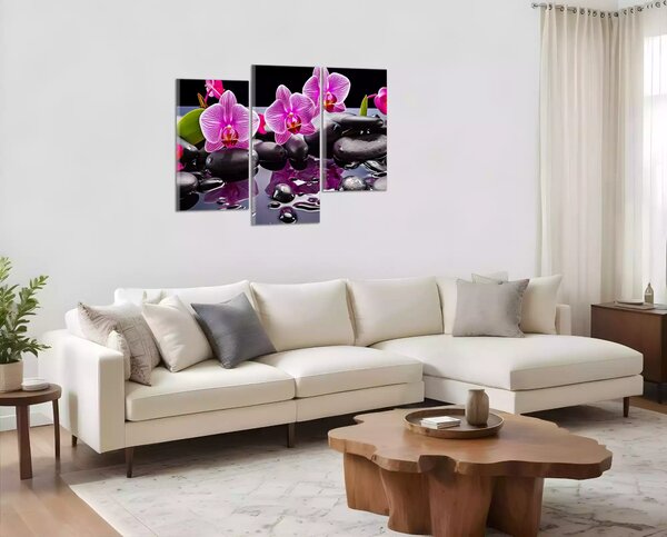 Moderný obraz Orchidey a čierne kamene
