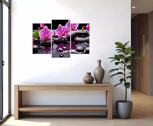 Moderný obraz Orchidey a čierne kamene