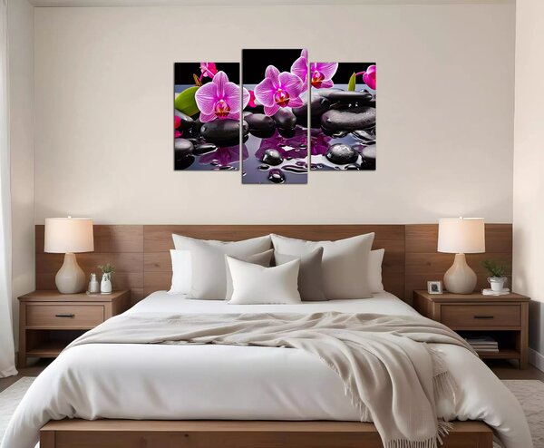 Moderný obraz Orchidey a čierne kamene