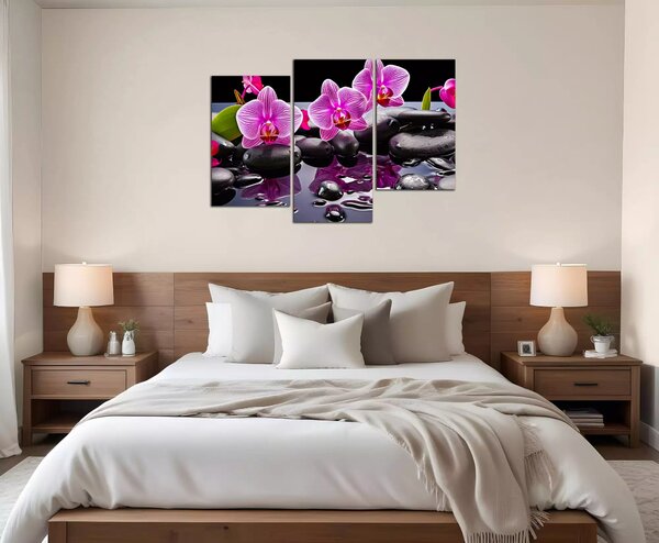 Moderný obraz Orchidey a čierne kamene