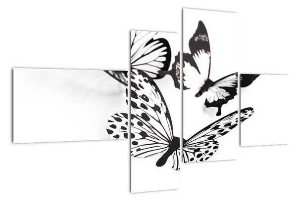Obraz motýľov (Obraz 110x70cm)