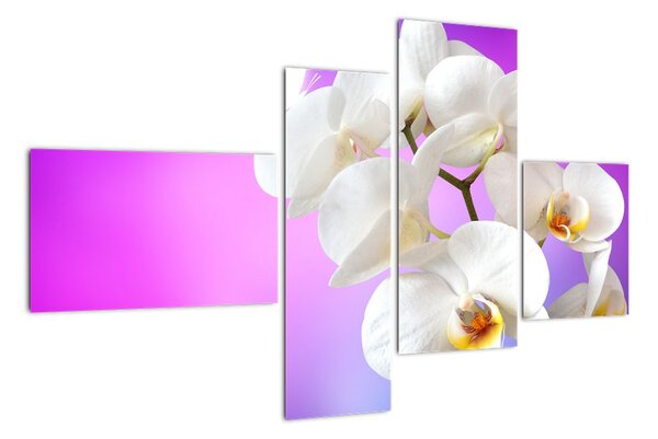 Obraz s orchideí (Obraz 110x70cm)