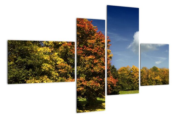 Jesenná krajina, obraz (Obraz 110x70cm)