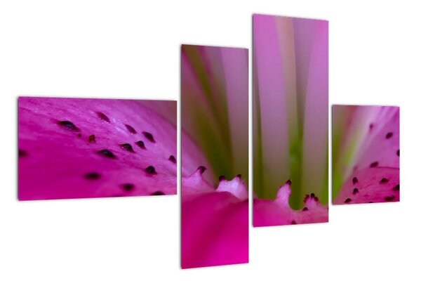 Detail kvetu - moderný obraz (Obraz 110x70cm)