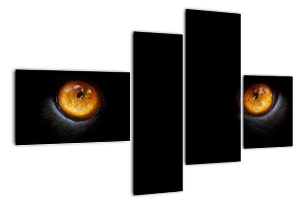 Zvieracie oči - obraz (Obraz 110x70cm)