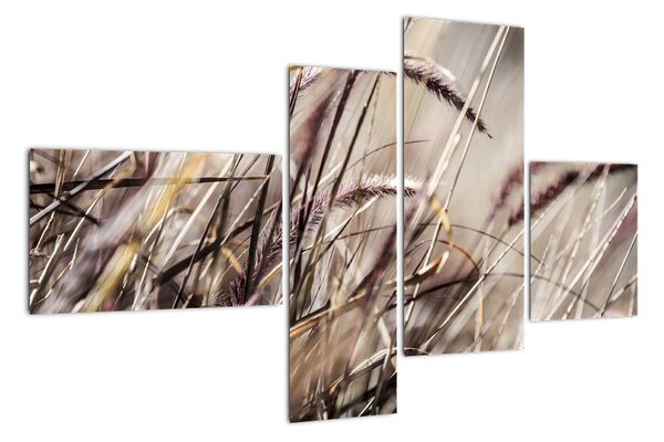 Obraz pšenica (Obraz 110x70cm)