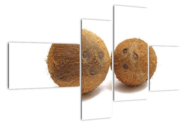 Kokosový orech, obraz (Obraz 110x70cm)