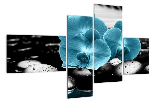 Obraz orchidey (Obraz 110x70cm)
