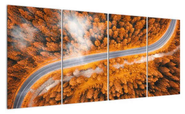 Cesta lesom - moderné obrazy na stenu (Obraz 160x80cm)