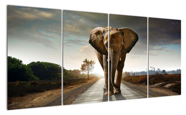 Obraz kráčajúceho slona (Obraz 160x80cm)
